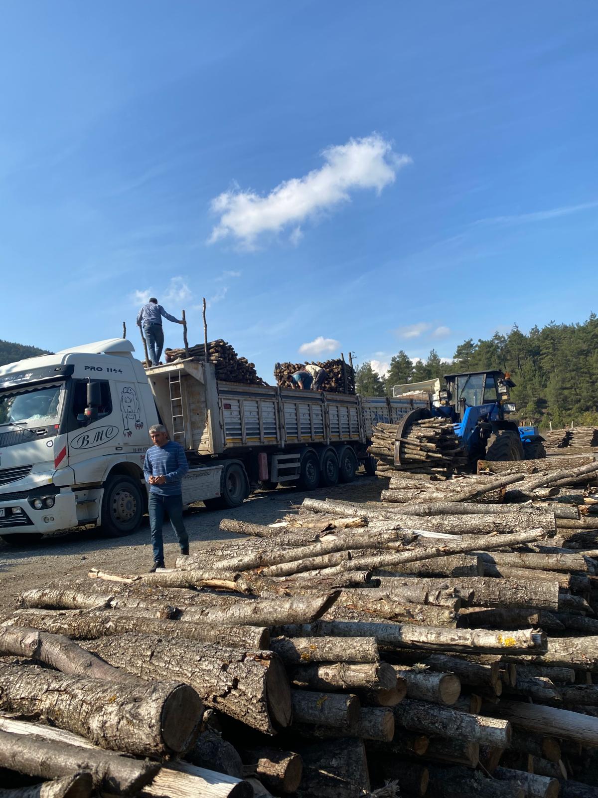 İşlenmemiş odunun tıra yükleniş görseli