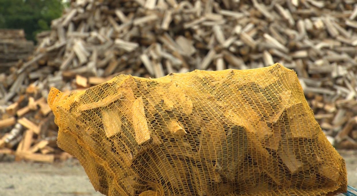 tutuşturma ağaç yongası